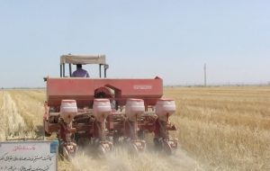 راهکار یک محقق برای جلوگیری از آتش زدن مزارع راهکار یک محقق برای جلوگیری از آتش زدن مزارع