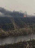 وضعیت بحرانی ناشی از آتش‌سوزی‌های مکرر در تالاب هورالعظیم/سلامت شهروندان در خطر است