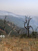 آتش‌سوزی در منطقه پلاک مونک شهرستان دزپارت مهار شد