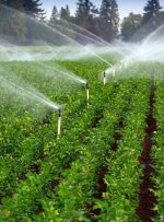 طرح های کشاورزی موجب توسعه روستایی و اشتغال‌زایی میشود /آغاز عملیات ۶۲ طرح کشاورزی