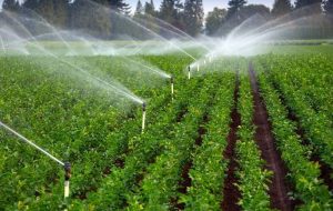 طرح های کشاورزی موجب توسعه روستایی و اشتغالزایی میشود /آغاز عملیات ۶۲ طرح کشاورزی طرح های کشاورزی موجب توسعه روستایی و اشتغالزایی میشود /آغاز عملیات ۶۲ طرح کشاورزی