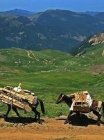 خوزستان آماده بازگشت عشایر از مناطق ییلاقی