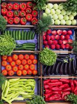 صادرات در بخش کشاورزی نقش مهمی در اقتصاد کشور دارد