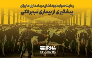 جلوگیری از بروز تب برفکی در استان با ممنوع کردن ورود دام زنده