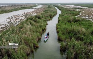 ۵۸ درصد تالاب شادگان به دلیل گرمای شدید و عدم بارش خشک شده است