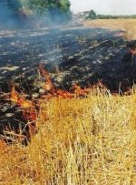 سوزاندن بقایای محصولات کشاورزی نه تنها سودی ندارد بلکه باعث مرگ بیولوژیک خاک می شود
