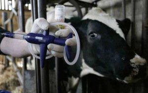 تلفات تب برفکی در تهران ،البرز و قم