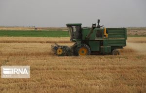 اولین گام مدیریت شیمایی علف های هرز ،شناسایی نوع آن ها است