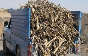 دستگیری ۶ قاچاقچی چوب در دزفول