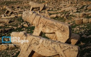 «‌برد شیر» نماد مردان دلیر ،بزرگ و پهلوان ایل بختیاری
