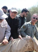 رهاسازی بیش از ۲ میلیون قطعه ماهی در تالاب بین المللی هورالعظیم