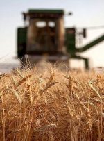 تشکیل اکیپ های پایش ملخ صحرایی جهت رصد اراضی کشاورزی