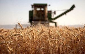 تشکیل اکیپ های پایش ملخ صحرایی جهت رصد اراضی کشاورزی