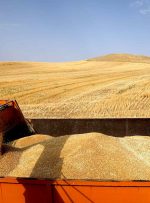 سه میلیون ۲۰۰ هزار تن کالای اساسی در انبار های استان موجود است و کمبود کالا نداریم