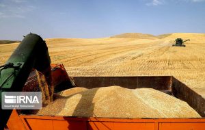 سه میلیون ۲۰۰ هزار تن کالای اساسی در انبار های استان موجود است و کمبود کالا نداریم