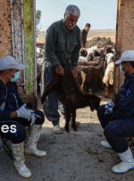 ۴۸ میلیارد تومان بدهی اداره کل دامپزشکی خوزستان بابت خرید مواد آزمایشگاهی و خدمات واکسیناسیون