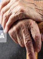 برگزاری اردوهای زیارتی برای سالمندان زیر پوشش کمیته امداد