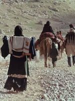 سالانه نفت سفید و گاز مایع با قیمت یارانه ای به عشایر استان داده می شود