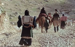 سالانه نفت سفید و گاز مایع با قیمت یارانه ای به عشایر استان داده می شود